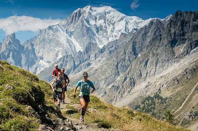 jocelynchavy ccc 8650