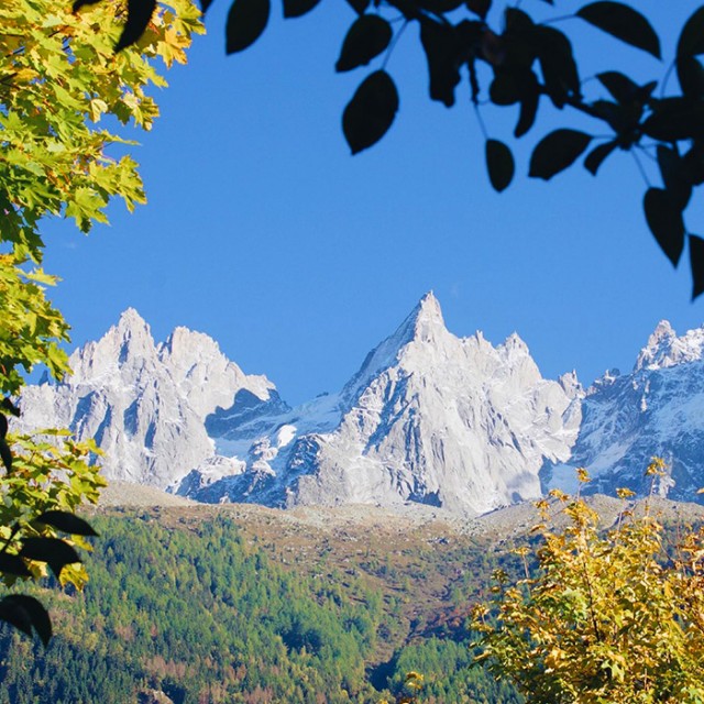 Rives automne